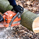 Illustration for article titled Ensure Youre Going To Obtain The Right Help For Trees In Your Lotem/em